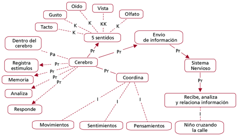 Cuadros Sinópticos sobre los Sentidos del Cuerpo Humano Cuadro