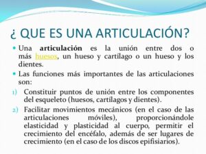 Las Articulaciones En Cuadros Sin Pticos Cuadro Comparativo