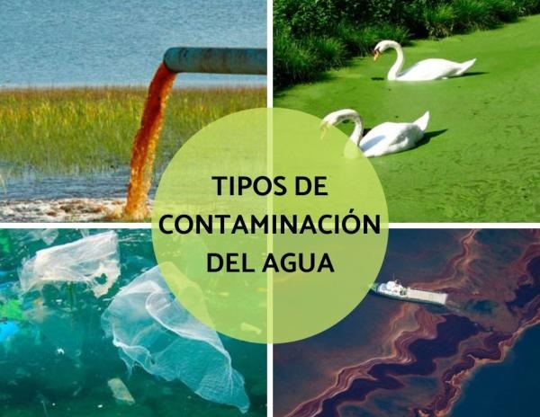 Contaminaci N Del Agua En Cuadros Sin Pticos Cuadro Comparativo The Best Porn Website