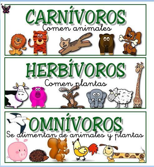 Animales Carnívoros, Herbívoros y Omnívoros (características y diferencias)  - Cuadro Comparativo