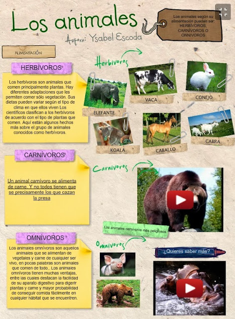 cuadro comparativo Carnívoros, Herbívoros y Omnívoros