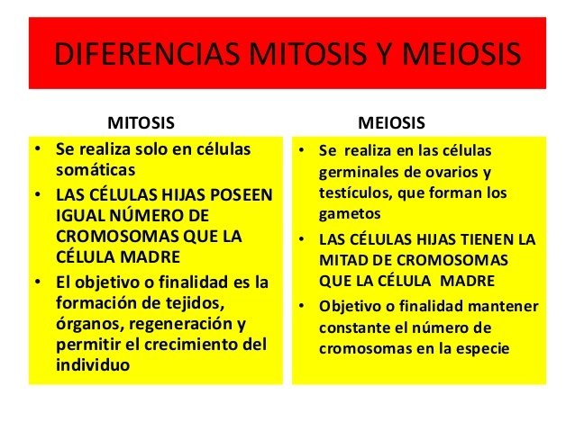 cuadro comparativo mitosis y meiosis