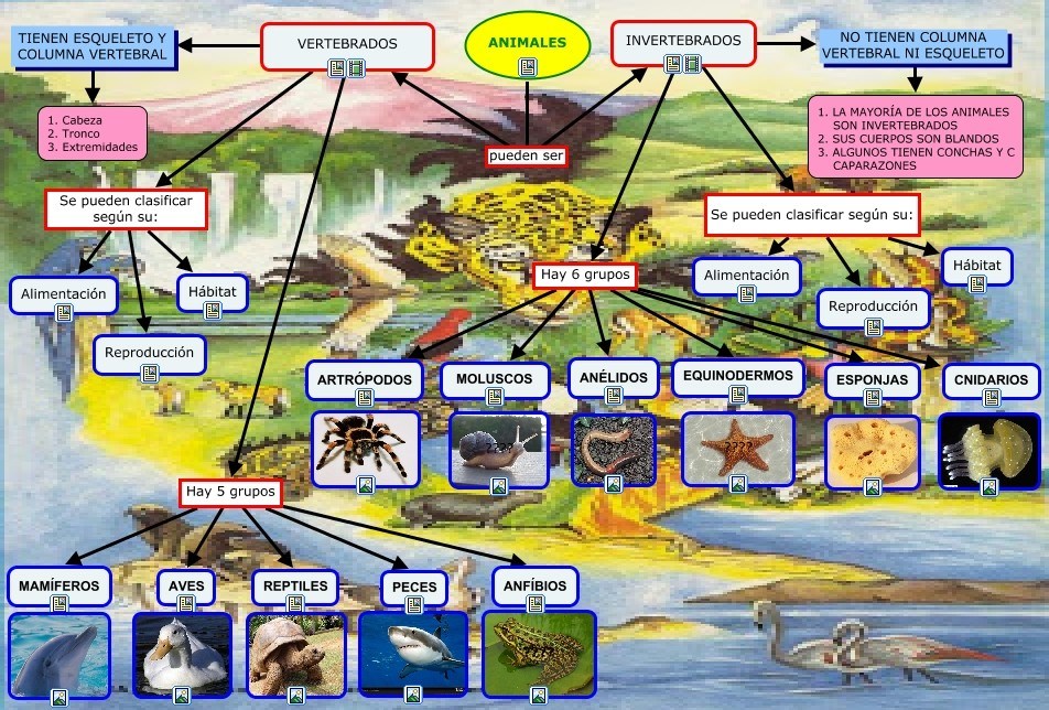 cuadro sinoptico vertebrados e invertebrados