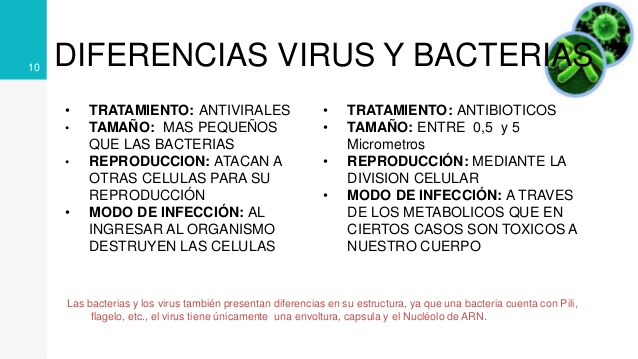 diferencias virus bacterias