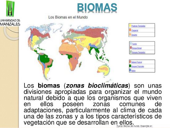 que son los biomas