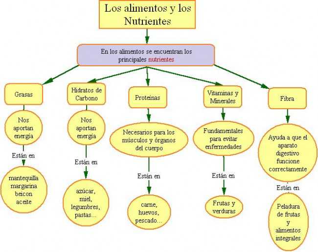 Comida Sana y Comida Chatarra (Comparación y Diferencias) - Cuadro  Comparativo