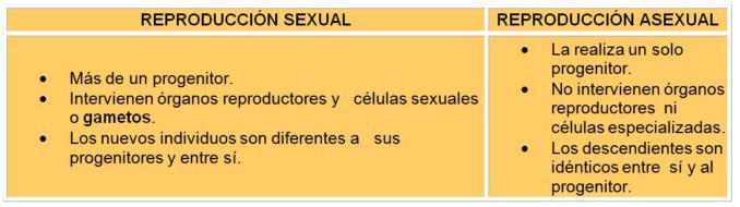 Cuadro Comparativo de la Reproducción Sexual y Asexual