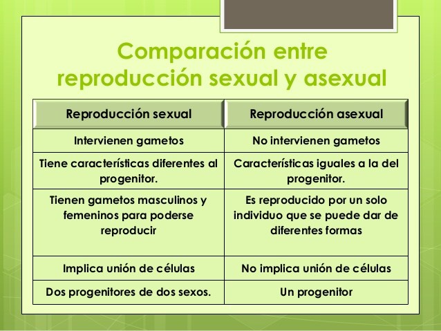 ¿Qué es la reproducción en los seres humanos? – Definición