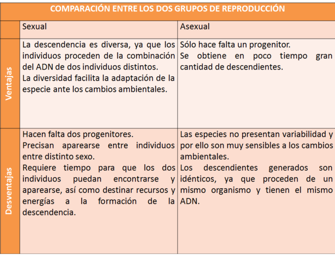 Cuadro Comparativo de la Reproducción Sexual y Asexual