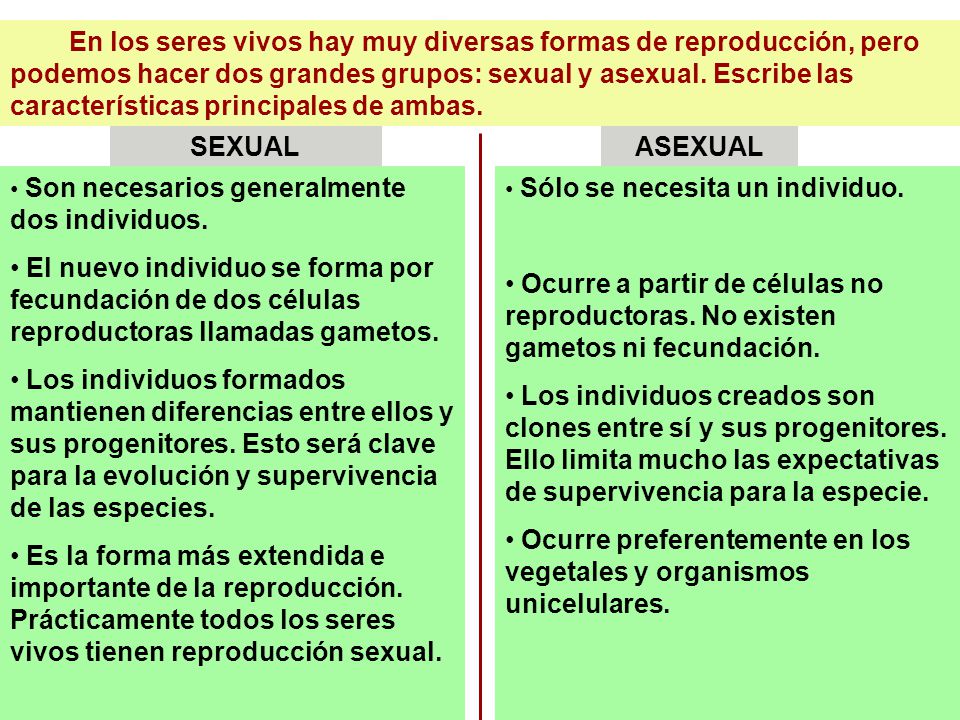 Cuadro Comparativo de la Reproducción Sexual y Asexual