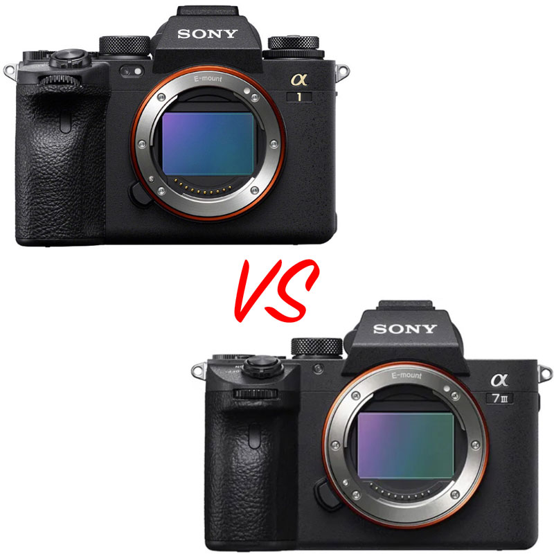 Sony-a1-vs-sony-a7-III