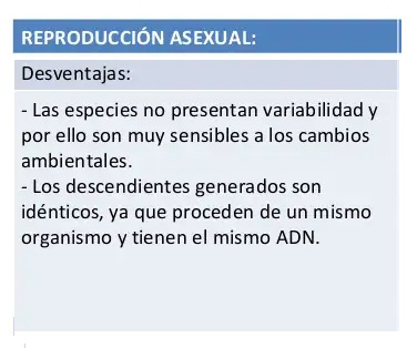 Desventajas reproduccion asexual