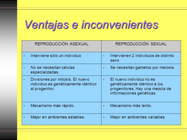 Reproducción Asexual: ¿Qué Es? Ventajas Y Desventajas - Cuadro Comparativo