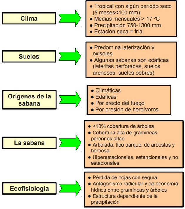 Cuadros Comparativos Y Sinopticos De Tipos De Regiones En Espana Images