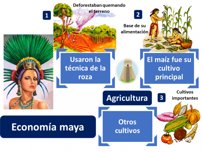 Economia Maya