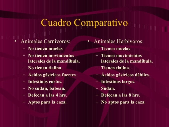 Animales herbivoros y carnivoros cuadro comparativo