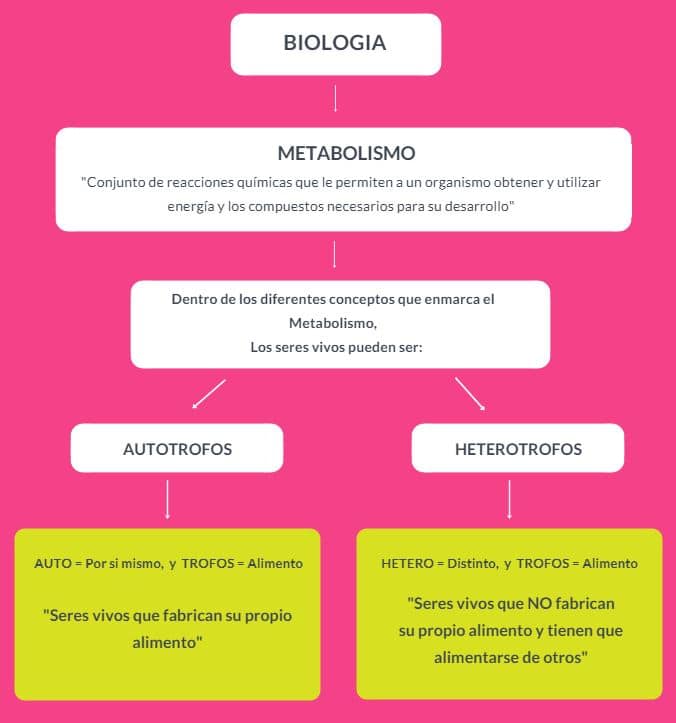 Caracteristicas heterotrofos y autotrofos