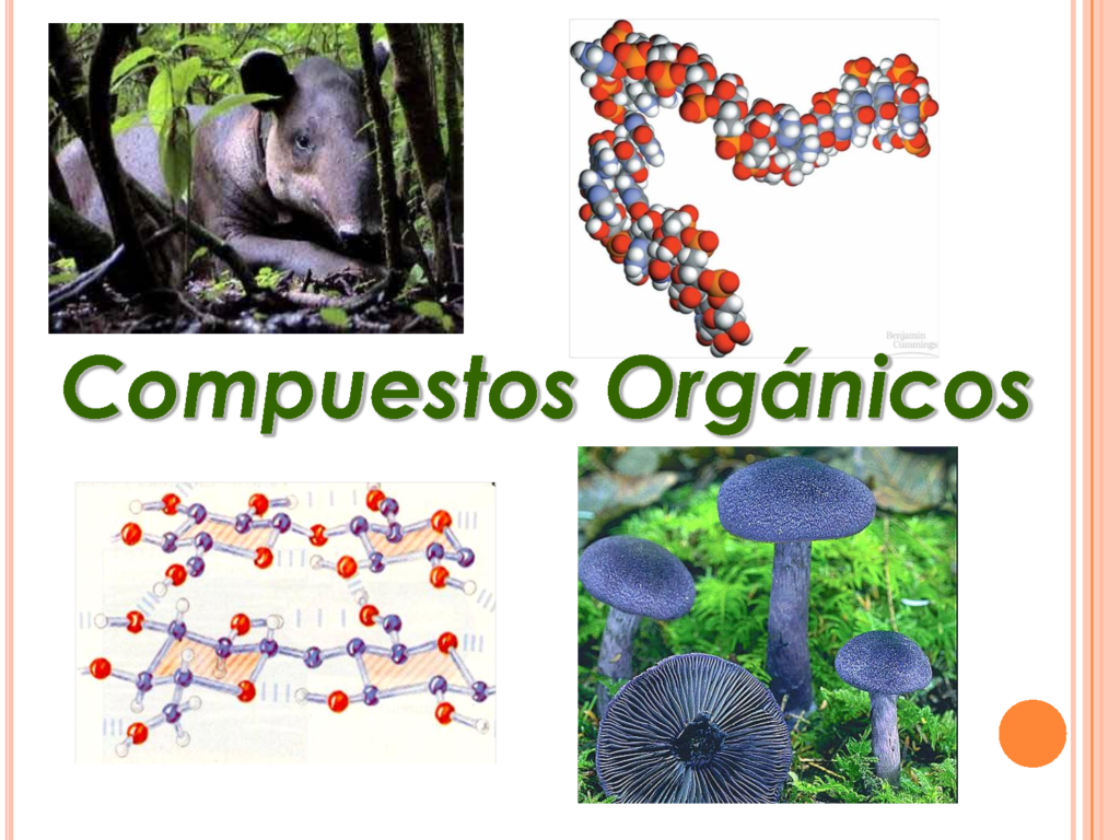Compuestos Orgánicos e Inorgánicos: Cuadro Comparativo - Cuadro Comparativo