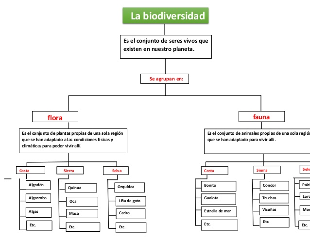 Cuadro comparativo flora y fauna