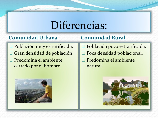 Zona rural vs. urbana: clave para entender las diferencias