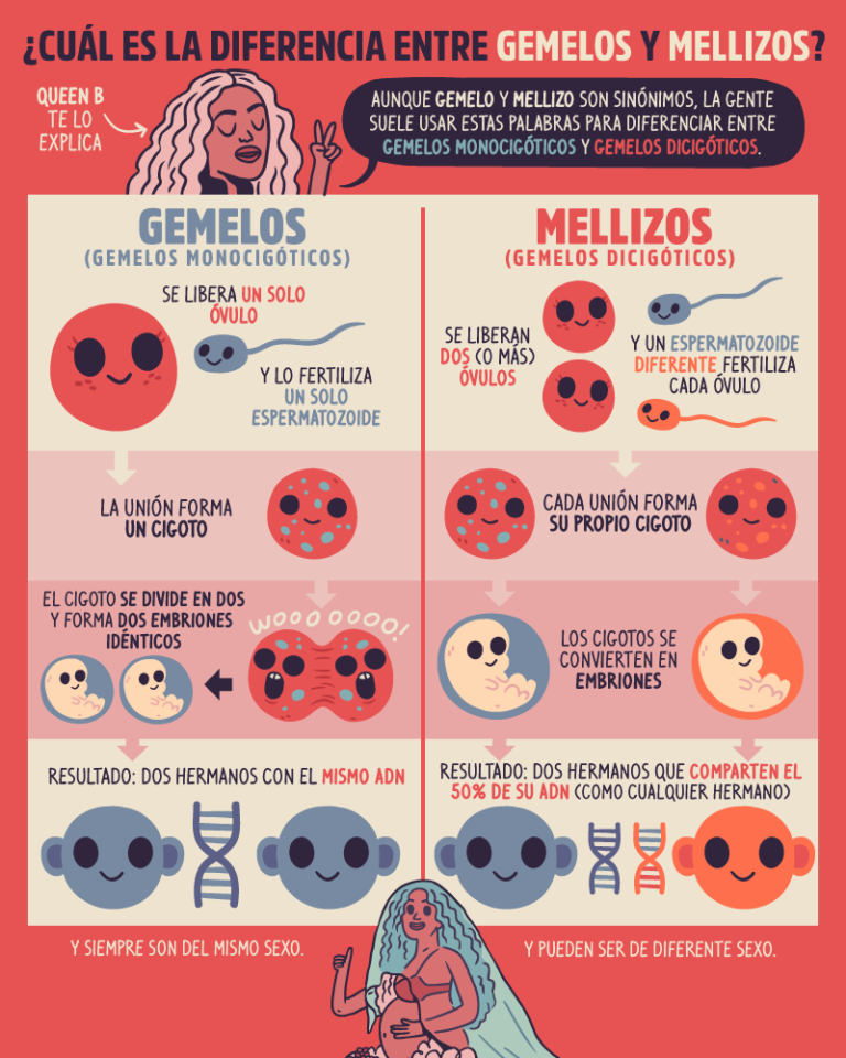 Diferencias Entre Mellizos Y Gemelos - Cuadro Comparativo