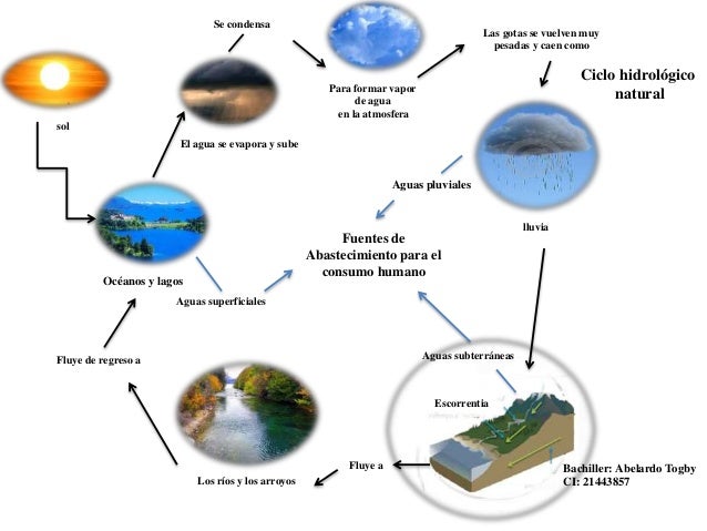 Cuadro sinoptico ciclo del agua