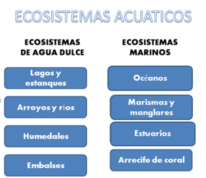 Cuadros comparativos entre ecosistemas acuaticos y terrestres