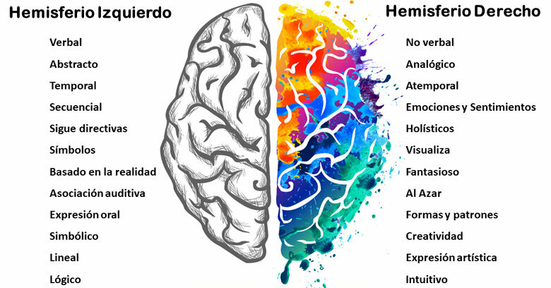 Hemisferios del Cerebro