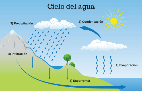 Que es el ciclo del agua