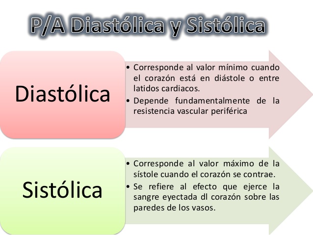 Sistole y diastole cuadro comparativo 2