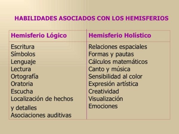 Cuadro Comparativo Sobre Los Hemisferios Cerebrales Cuadro Comparativo