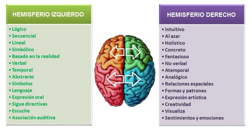 cuadro comparativo hemisferios del cerebro