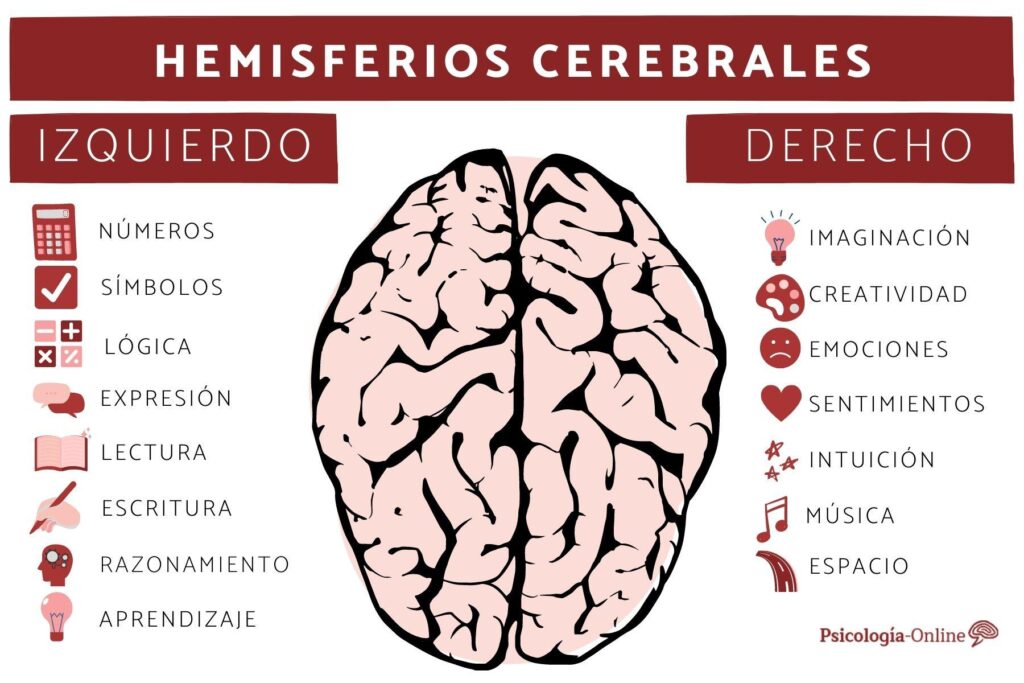 hemisferios del cerebro cuadro comparativo