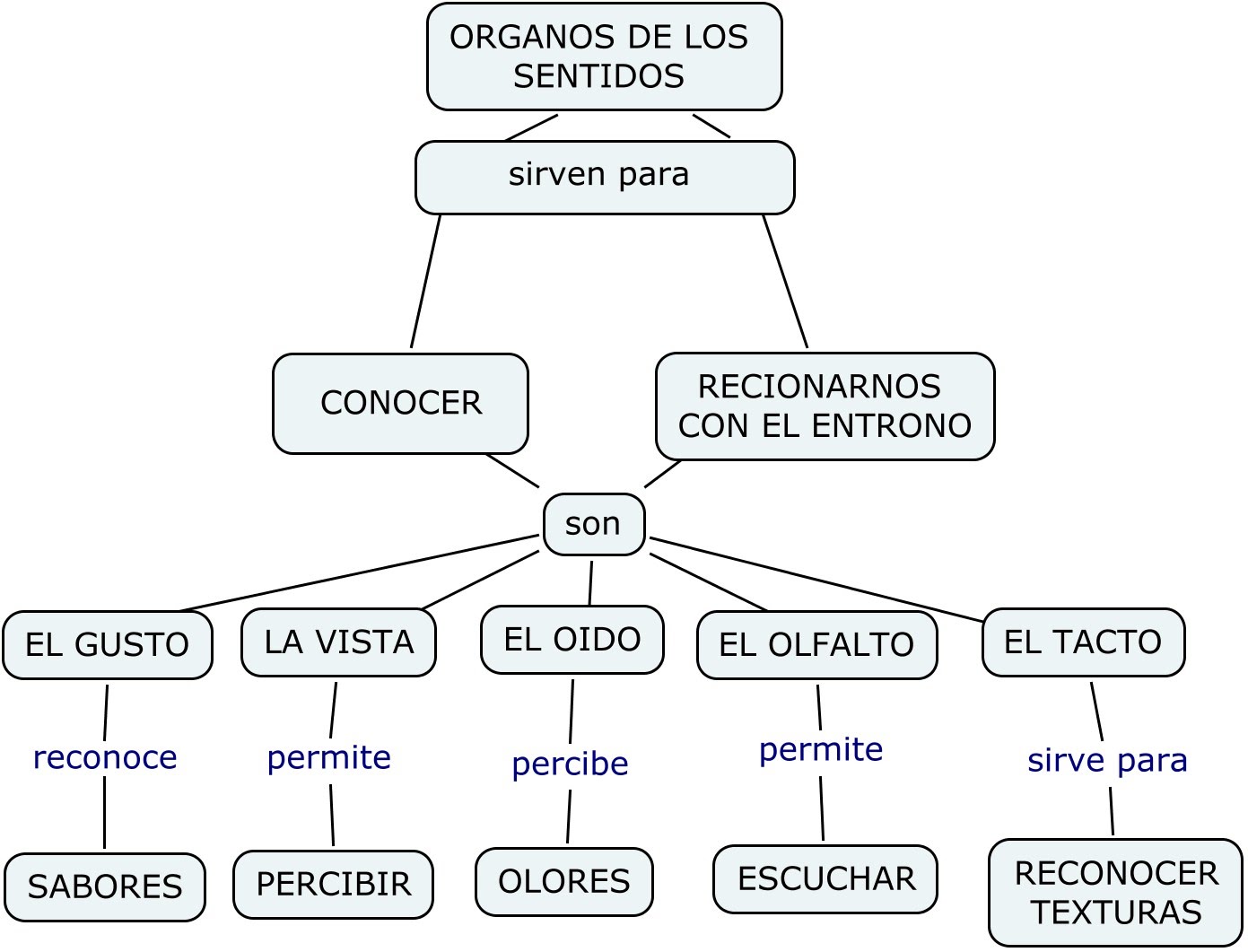 Cuadros Sin Pticos Sobre Los Sentidos Del Cuerpo Humano Cuadro