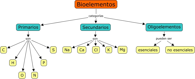 Bioelementos primarios y secundarios