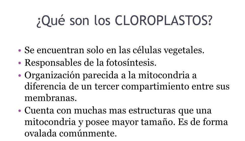 Cloroplastos Caracteristicas