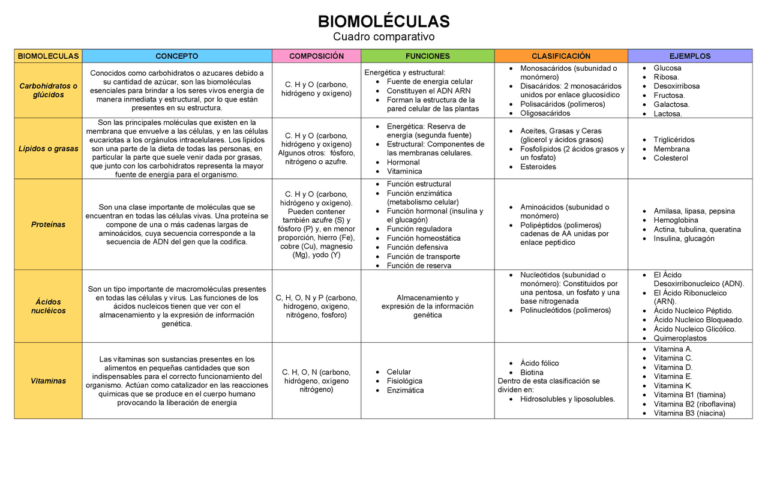 Biomoléculas Características Y Tipos Cuadros Comparativos Cuadro Comparativo 6404