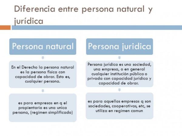 Diferencias Entre Persona Física Y Persona Moral Cuadros Comparativos Cuadro Comparativo