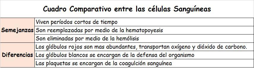 Cuadro Comparativo sobre Celulas Sanguineas 2