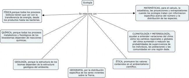 Cuadro Sinoptico Ecologia