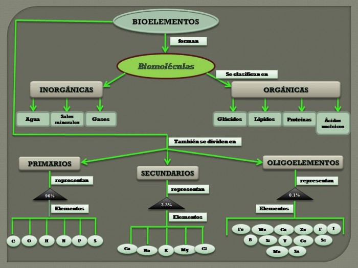 Cuadro Sinopticos de los Bioelementos