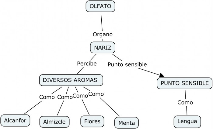 Cuadro sinoptico del Olfato