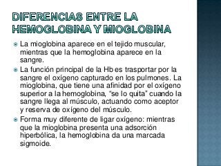 Diferencias entre la Hemoglobina y la mioglobina