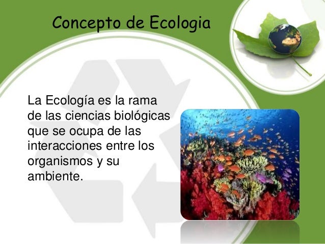 Ecologia Concepto