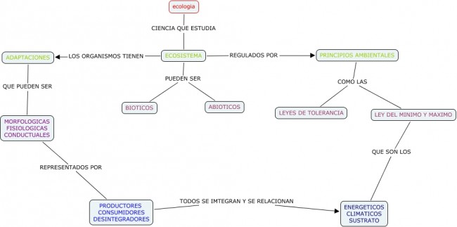 Ecologia Cuadro Sinoptico