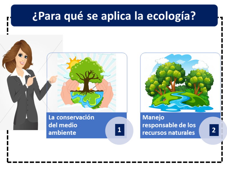 Ecología en Cuadros Sinópticos Cuadro Comparativo