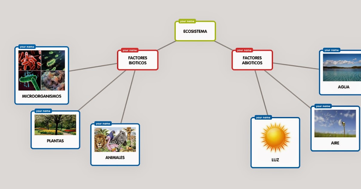 Mapa Factores Bioticos Y Abioticos Mapa Conceptual Porn Sex Picture