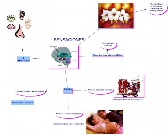 Mapas Mentales de las Sensaciones