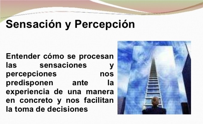 Percepción Y Sensación Diferencias En Cuadros Comparativos Cuadro