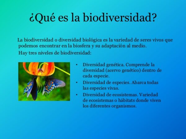 La Biodiversidad En Cuadros Sinópticos Cuadro Comparativo 5106